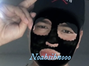 Noahsihnooo