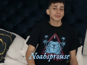 Noahsprouse