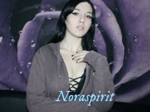 Noraspirit