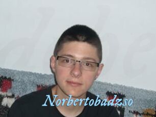 Norbertobadzso