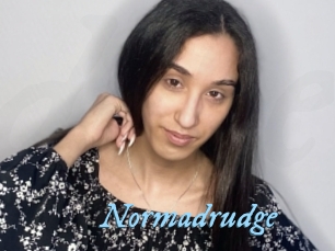 Normadrudge
