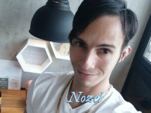 Nozel