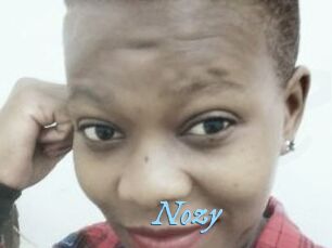 Nozy