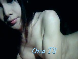 Orsa_TS