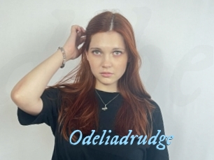 Odeliadrudge