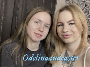 Odelinaandeaster