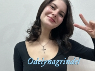 Odelynagrindel