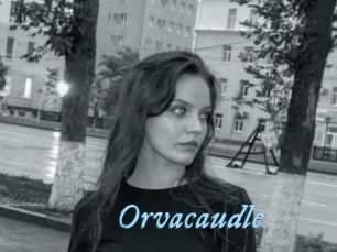 Orvacaudle