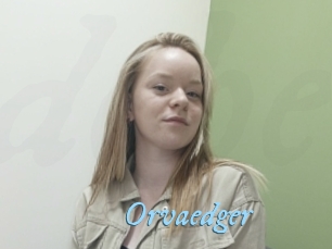 Orvaedger