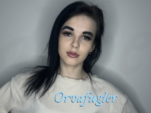 Orvafugler