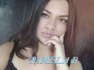 PAMELA_B