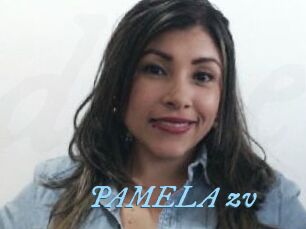 PAMELA_zv