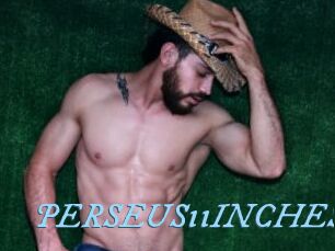 PERSEUS11INCHES