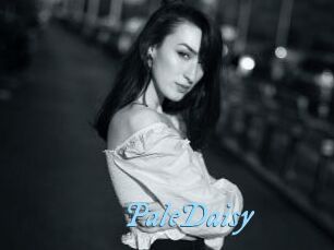 PaleDaisy