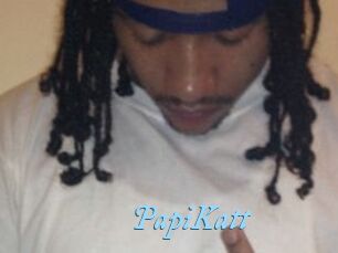 PapiKatt