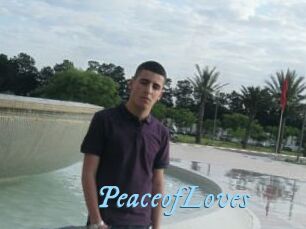PeaceofLoves
