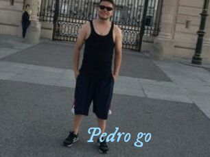 Pedro_go