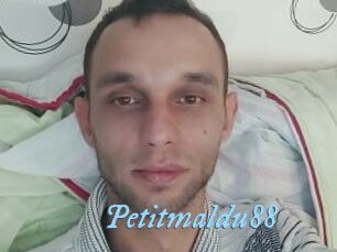 Petitmaldu88