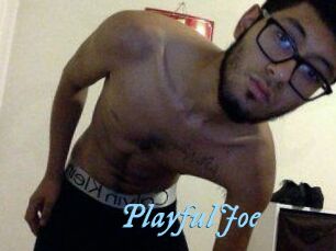 PlayfulJoe
