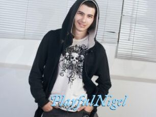 PlayfulNigel