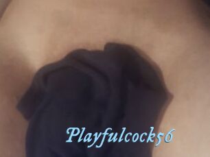Playfulcock56