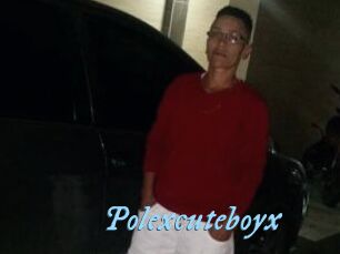 Polexcuteboyx