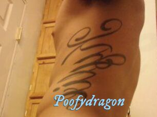 Poofydragon
