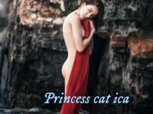 Princess_cat_ica