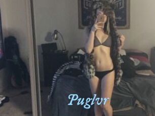 Puglvr