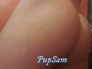 PupSam
