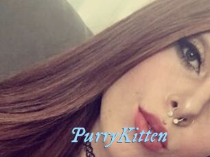 PurryKitten