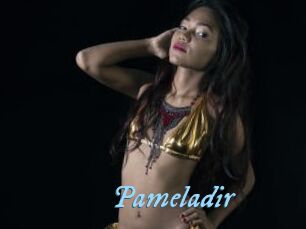 Pameladir