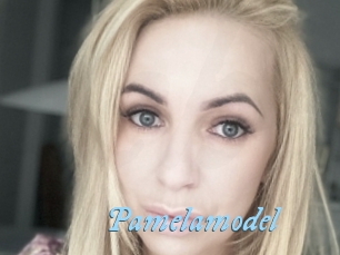 Pamelamodel