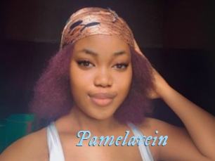 Pamelarein