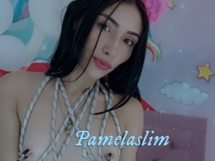 Pamelaslim