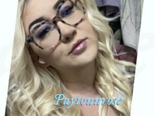 Paytonnrose