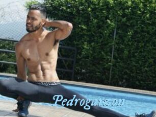 Pedrogarzon
