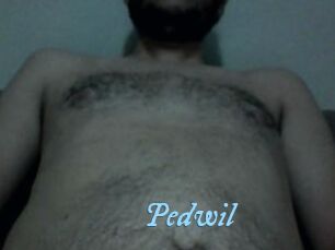 Pedwil