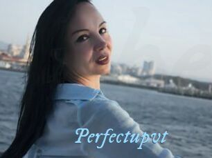 Perfectupvt