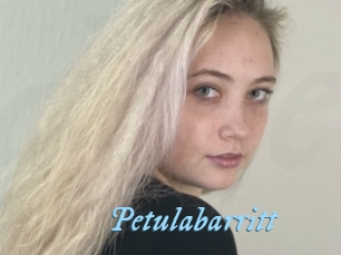 Petulabarritt