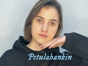 Petulahankin