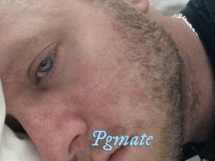Pgmate