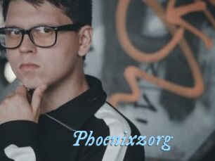 Phoenixzorg