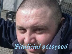 Pituliciul-06105006