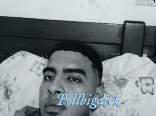 Pollbigdick