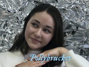 Pollybrucker