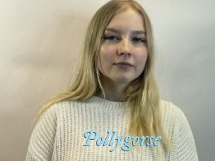 Pollygorse