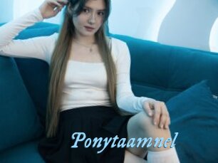 Ponytaamnel