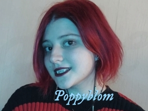 Poppyblom