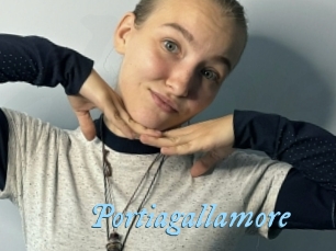 Portiagallamore